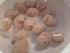 -章记正宗南岗鱼蛋火锅