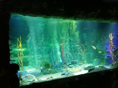 -沈阳海洋探索中心