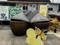 -苏州市吴中区光福窑上花果蜜饯厂