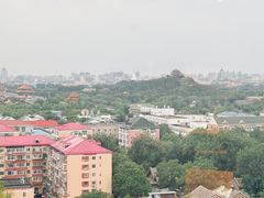 -万丽轩·粤菜(王府井金茂万丽酒店)