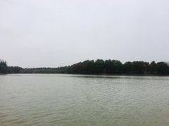 -上海海湾国家森林公园