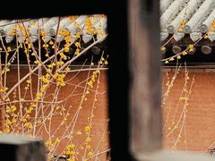 -胡氏古民居建筑