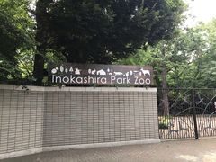 -井之头恩赐公园