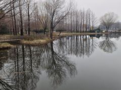 -郑州植物园