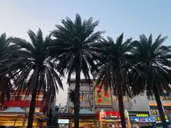 -新金盛·海鲜酒楼(盐田店)
