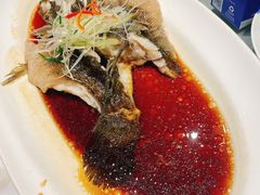 -沪碟·精菜坊(闵行店)