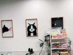 -凯特喵百思猫专科医院