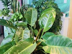 -PANCAKE私宅甜点(雅山新天地店)