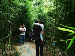 -竹子庵公园