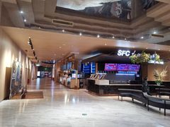 -SFC上影影城(港汇永华IMAX激光店)