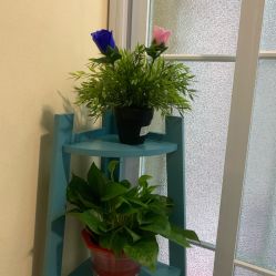 -薇兰专业脱毛连锁机构