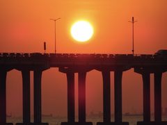 -宝安西湾红树林湿地公园