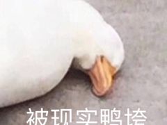 -龙阳广场-地下停车库