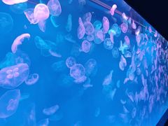 -多彩贵州城极地海洋世界