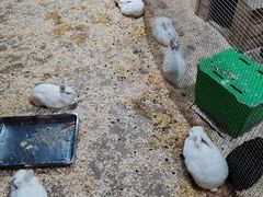 -秦皇岛新澳海底世界
