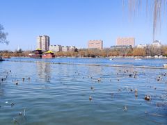 -济南大明湖景区
