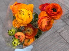 -循礼门鲜花花市(武汉循礼门店)