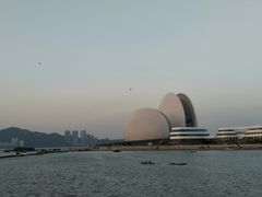 -野狸岛