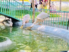 -水上乐园·欢乐世界