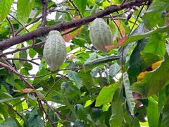 -歌斐颂巧克力小镇