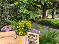 -缘生态云南菜·野生菌庭院餐厅(华侨城店)