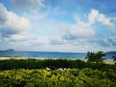 -渔家火锅·海鲜自助餐·演艺(亚龙湾天域酒店)