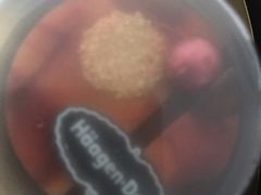 -哈根达斯(合肥万科广场店)