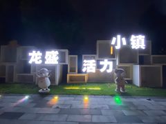 -龙盛活力小镇