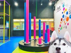 -蹦贝运动中心·蹦床·攀岩·闯关(龙岗店)