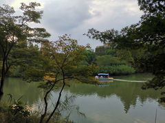 -青枫公园