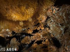 -大连城堡豪华精选酒店·宴会厅