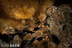 -大连城堡豪华精选酒店·宴会厅