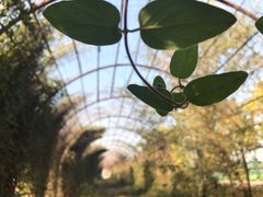 -万源龙顺度假庄园生态观光园