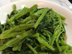 -糖朝(尖沙咀店)