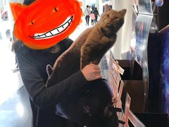 -博纳国际影城IMAX(中央大道店)