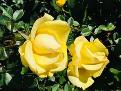 -人民公园(罗湖区)