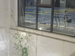 -蓝天国际游泳培训基地(华腾园店)