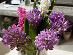 -植物学家的女儿(北马道巷店)