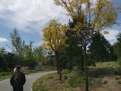 -东郊湿地公园