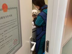 -美迦爱-牙专科·兔科·骨科诊疗中心(北苑店)