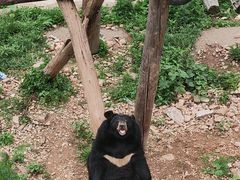 -大连森林动物园