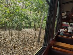 -合肥滨湖国家森林公园