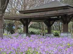 -白塘生态植物园