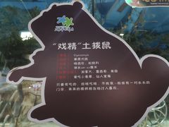 -台州海洋世界