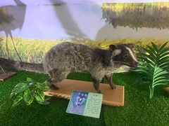 -下渚湖国家湿地公园科普馆