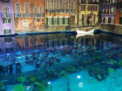 -华夏文旅海洋公园