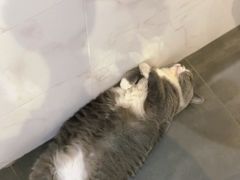 -乐果甜心·潮汕冰室(南澳后宅分店)