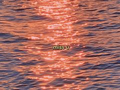 -海堤纪念公园
