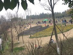 -白鹭湾湿地公园