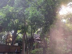 -和顺柏联温泉